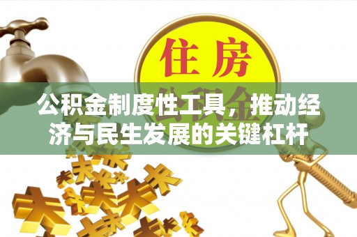 米林公积金制度性工具，推动经济与民生发展的关键杠杆