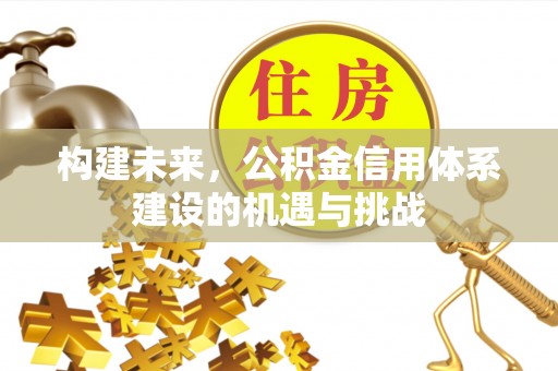 米林构建未来，公积金信用体系建设的机遇与挑战