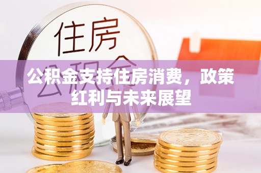 米林公积金支持住房消费，政策红利与未来展望