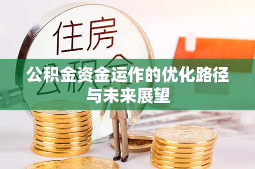 米林公积金资金运作的优化路径与未来展望